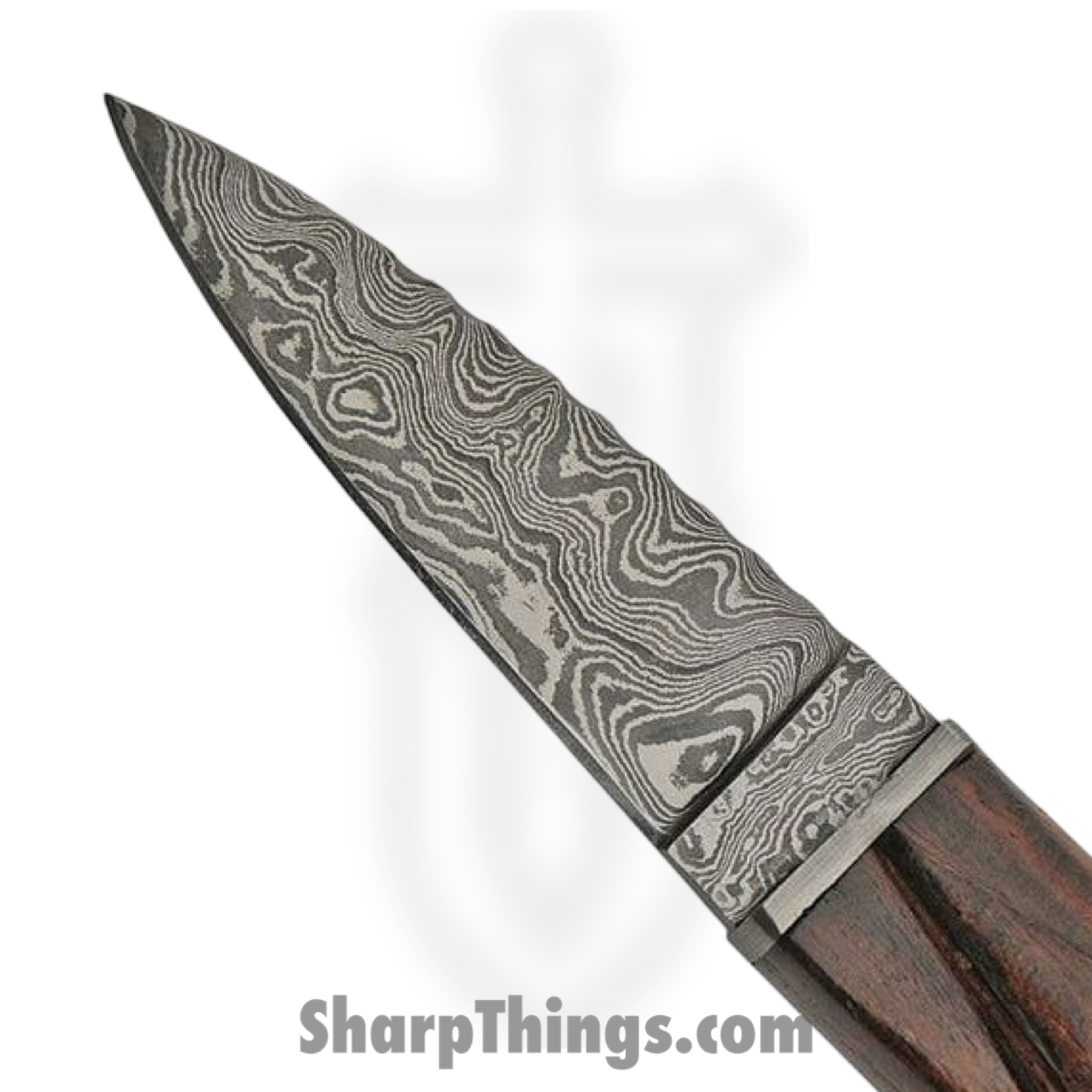 Damascus - DM1171 - Sgian Dubh Dagger - Fixed Blade Knife - Damascus - Rosewood - Brown - Image 2