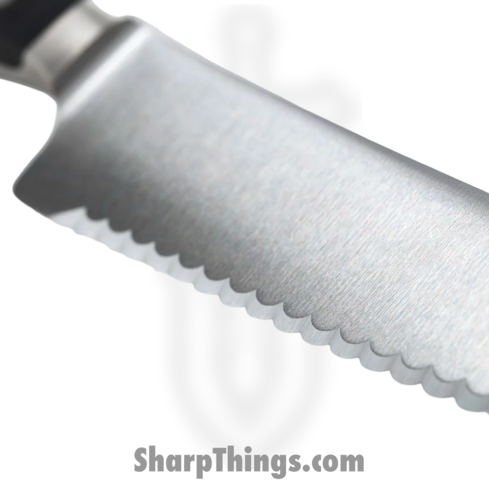 Wusthof - 1040133126 - Classic 10" Super Slicer Knife - Classic 10" Super - Image 2
