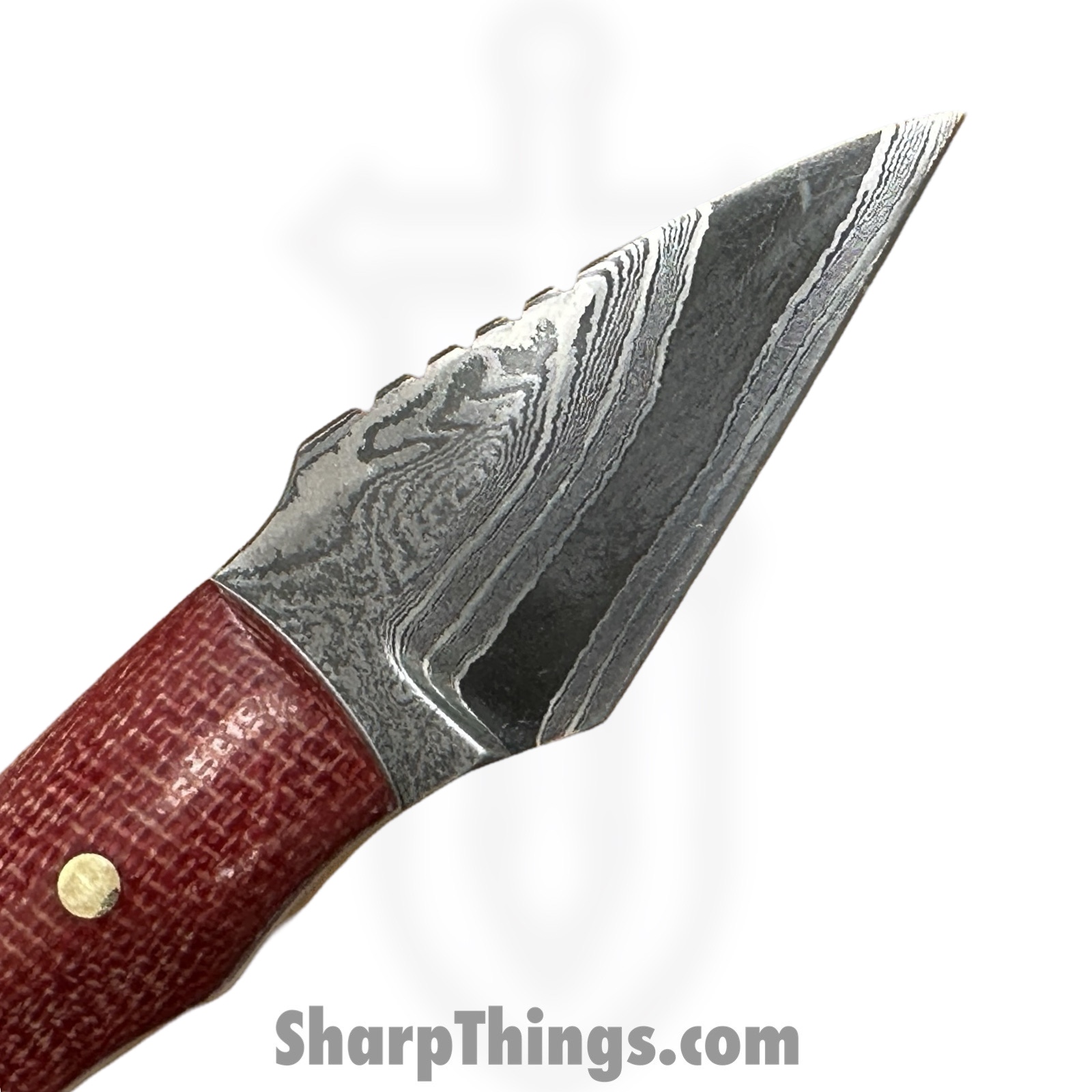 Royalty Rings Co. - RRC-SMNyx-01 - Small Nyx - Fixed Blade Knife - Baker Forge Icestom Wavy Damascus Kiridashi - Micarta - Red/White - Image 7