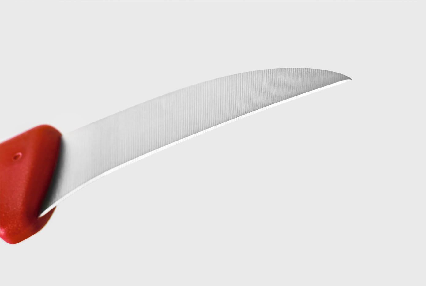 Wusthof - 1065370101 - Create 3pc Red Pairing Knife - Create 3pc - Image 6